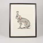 1691 5052 LITOGRAPHS IN ..